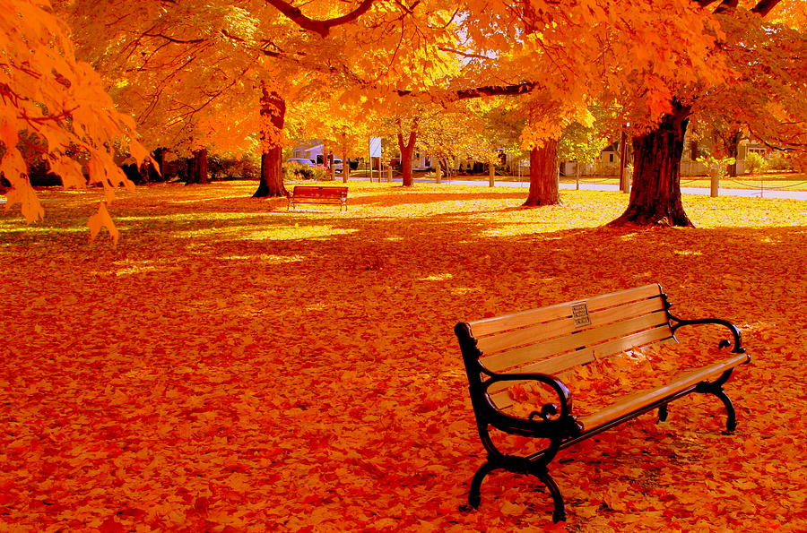 Fall Bench  Newburyport MA Photograph by Suzanne DeGeorge