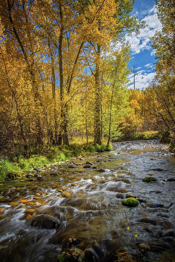 Fall Bliss at McGee Creek Photograph by Lynn Bauer