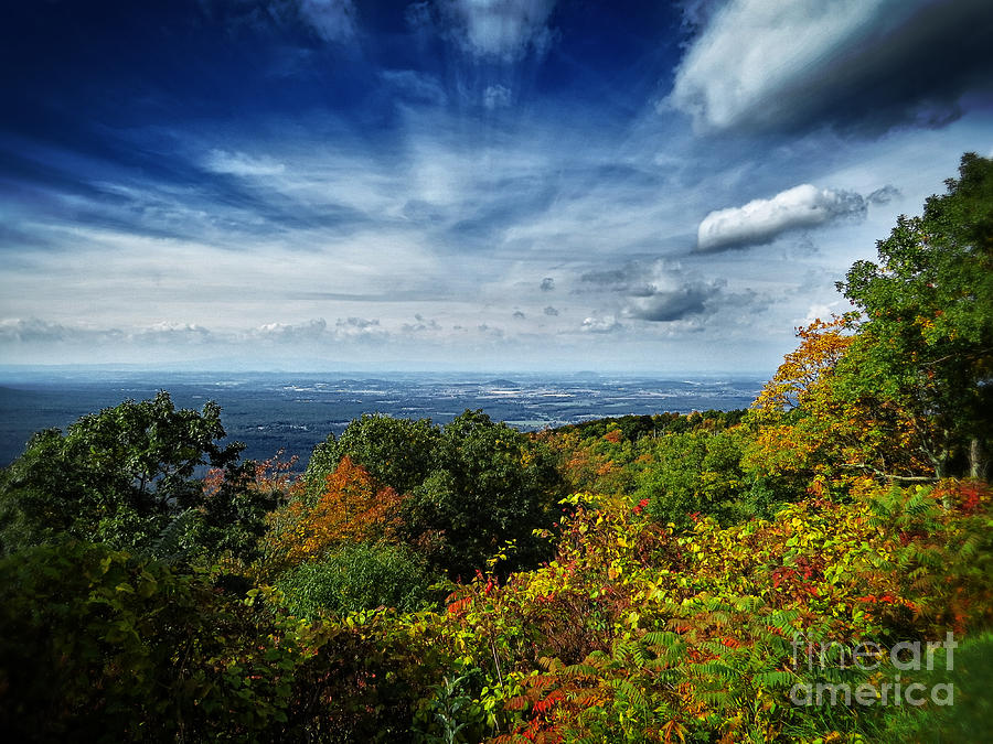 Fall Blue Ridge Parkway Photograph by Dawn Gari