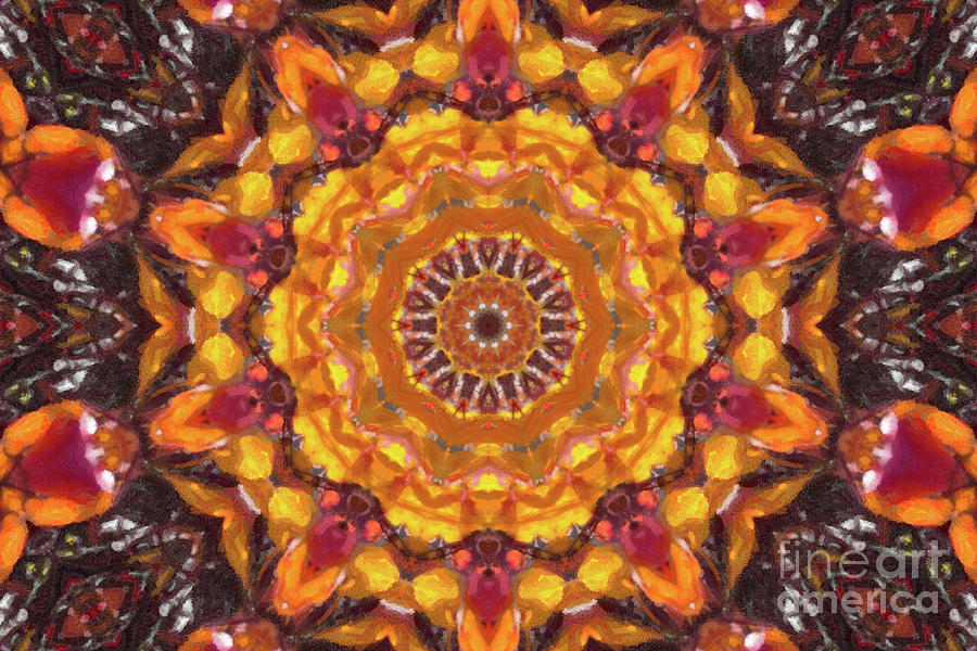 Fall Branches Kaleidoscope Digital Art by Donna L Munro