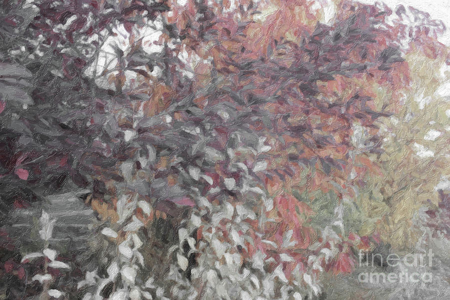 Fall Branches Muted Digital Art by Donna L Munro