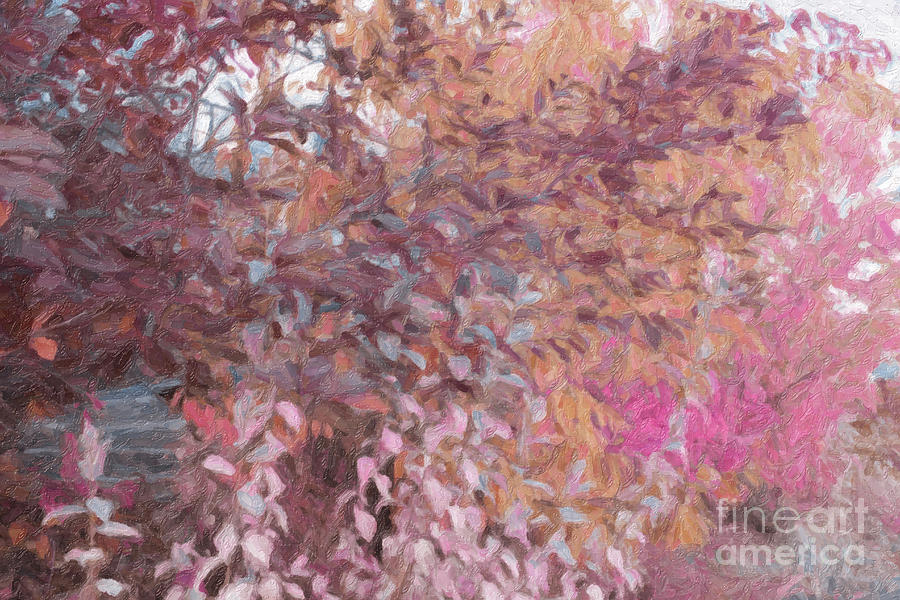 Fall Branches Pink and Orange Digital Art by Donna L Munro