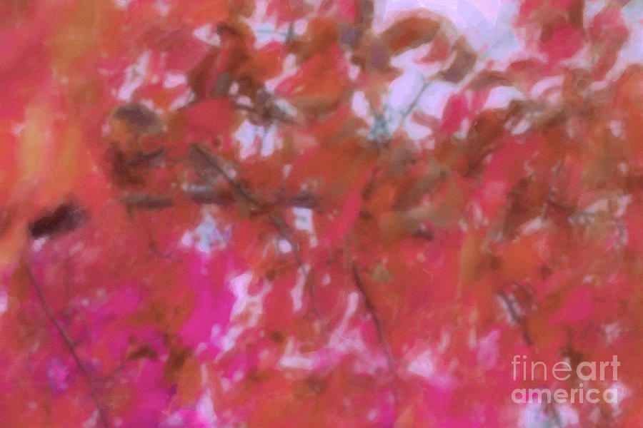 Fall Branches Watercolor Pink Digital Art by Donna L Munro