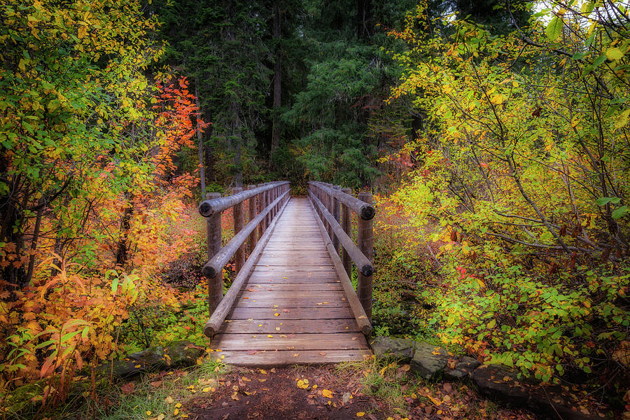 Fall Photograph - Fall Bridge by Cat Connor