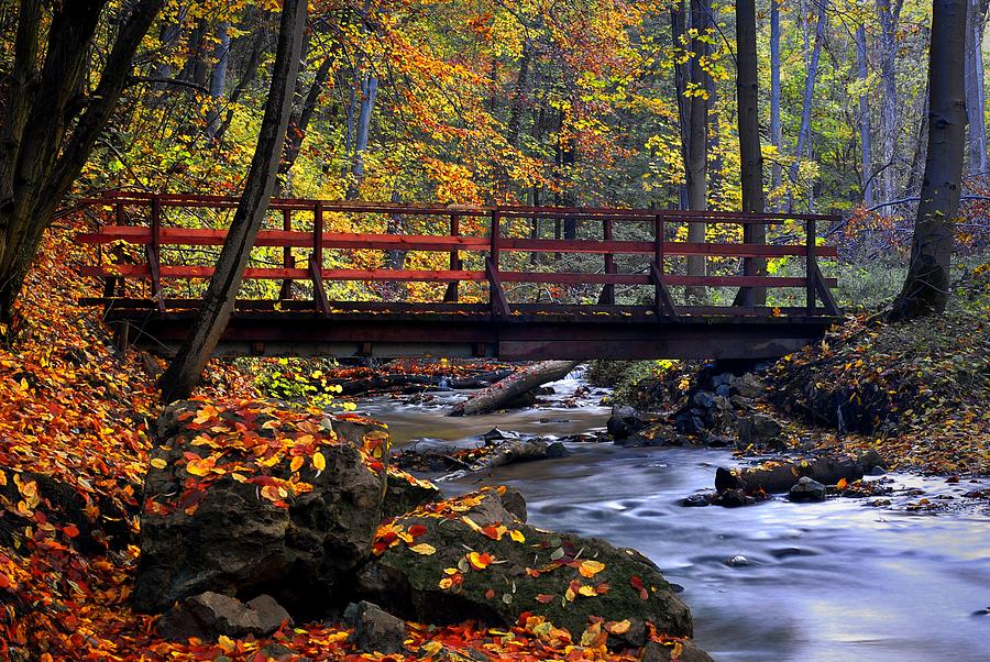 Fall Bridge Photograph by Dawn Van Doorn | Fine Art America