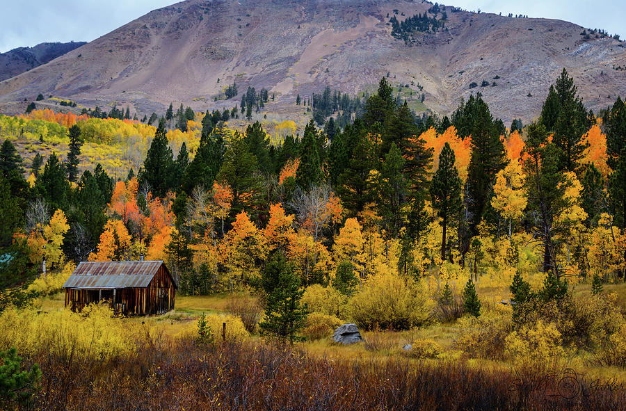 Fall Cabin 2 Photograph by Steph Gabler