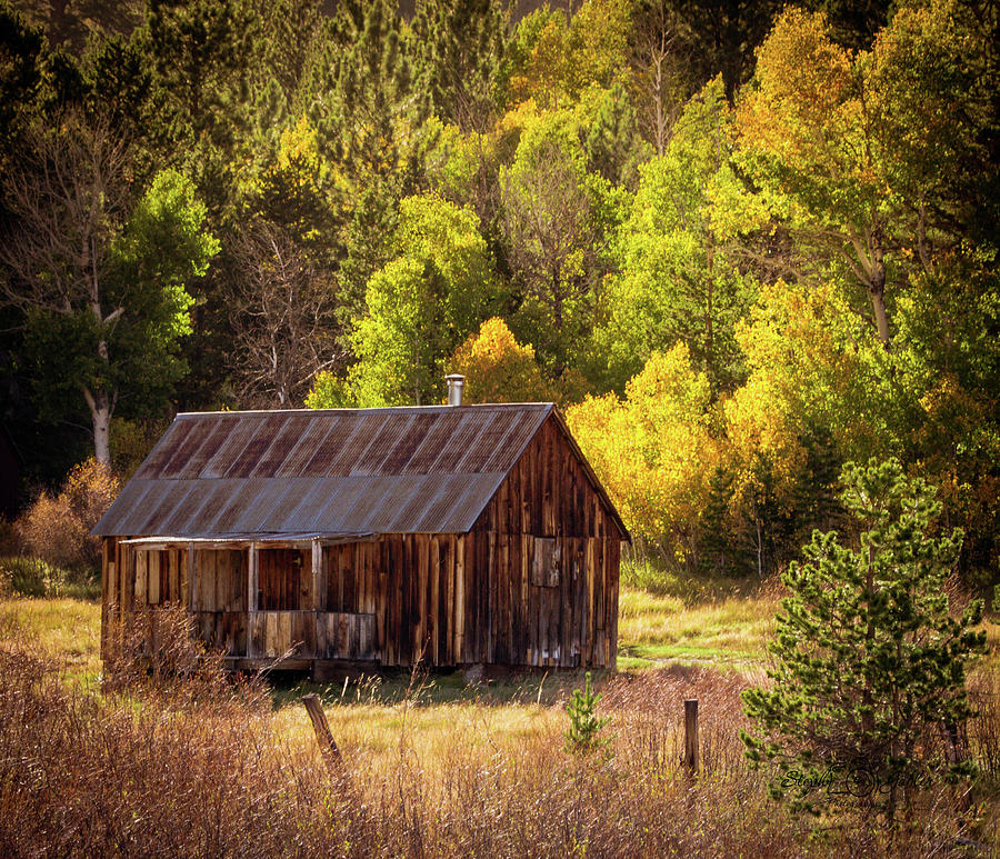 Fall Cabin Photograph by Steph Gabler