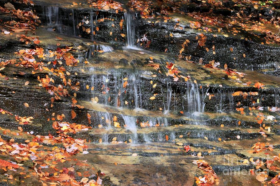 Fall Cascades Photograph by Benanne Stiens