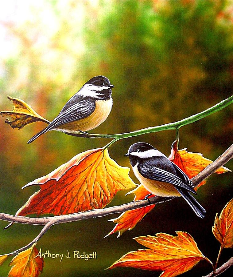 Fall Chickadees Painting by Anthony J Padgett