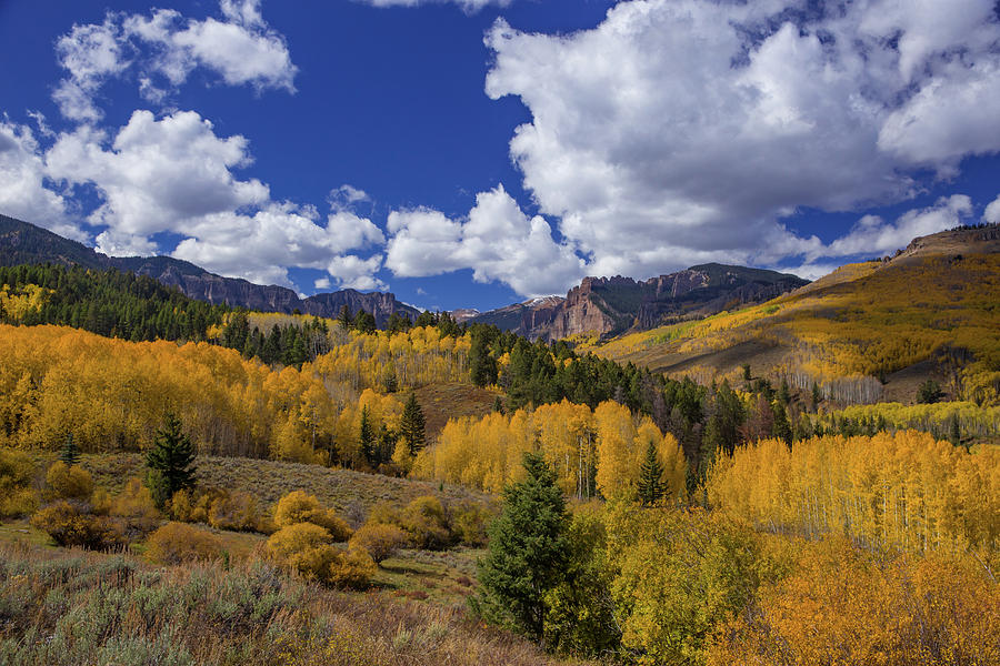 Fall Color Abounds Below the Mill Creek Breccia Cliffs Photograph by ...