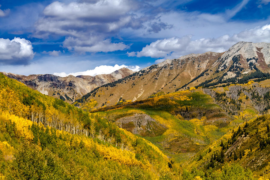 Fall Photograph - Fall Color Above Marble Colorado by Teri Virbickis