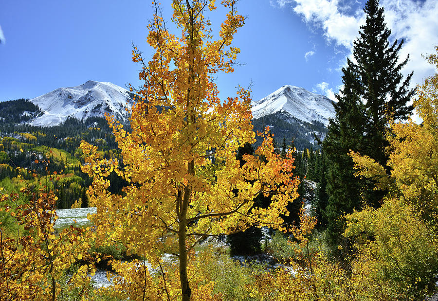 Fall Color Along Highway 550 Photograph
