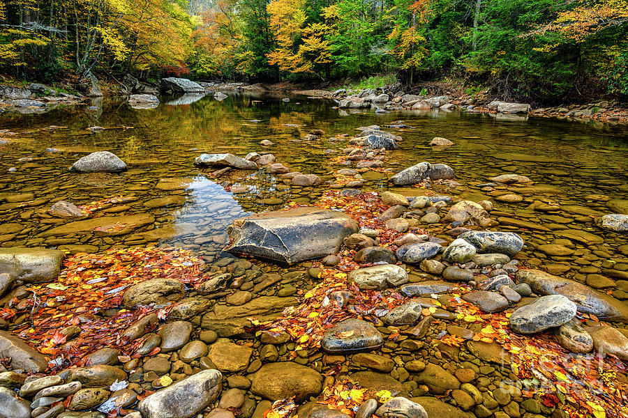 Fall Color along Williams River Photograph by Thomas R Fletcher