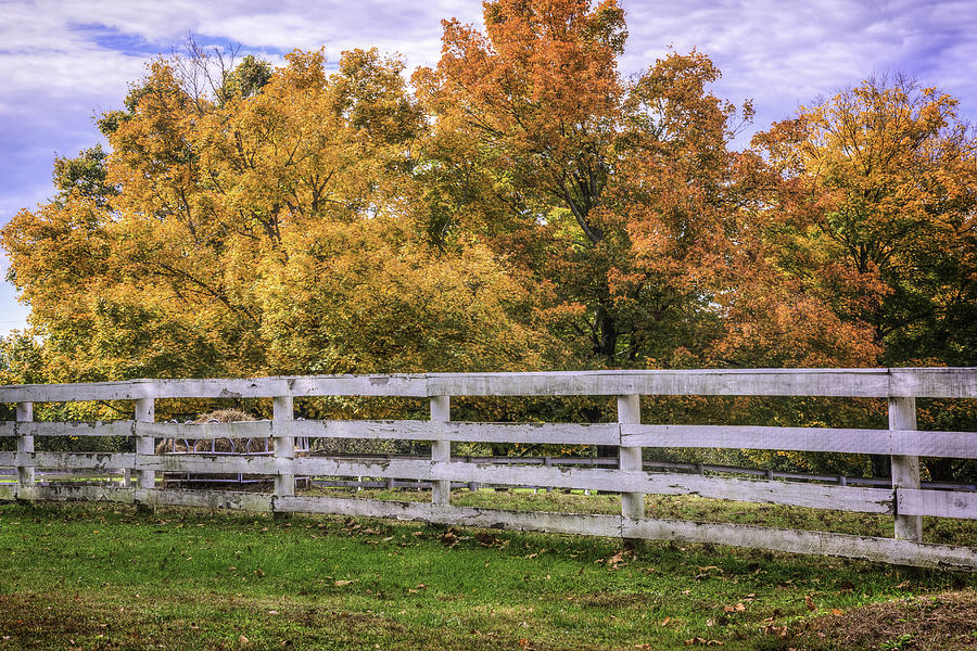 Fall Color and Fence Photograph by David Waldrop