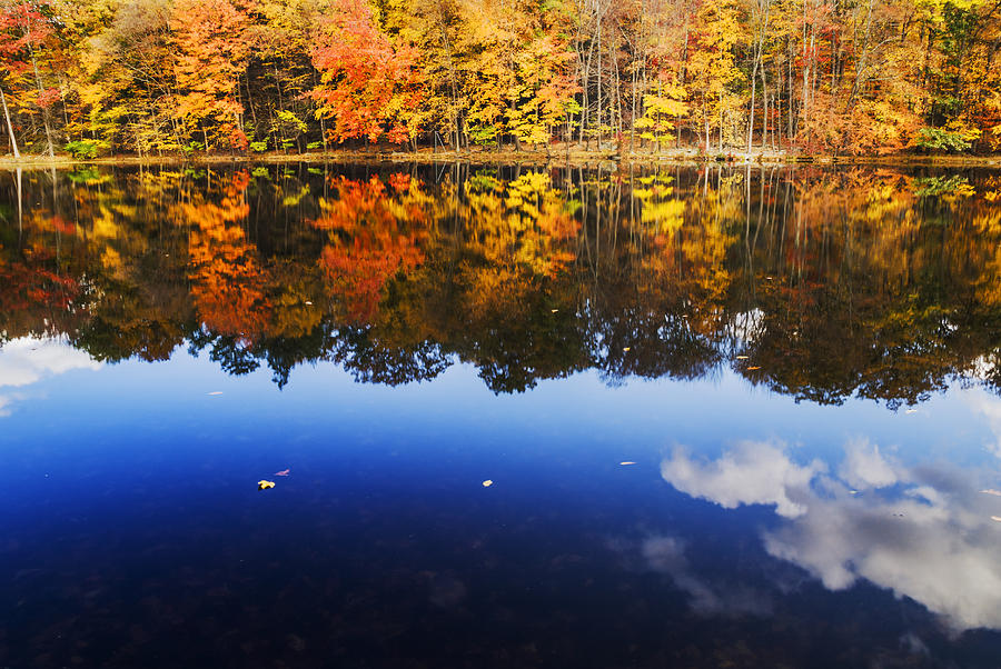 Fall color and sky reflection Photograph by Vishwanath Bhat