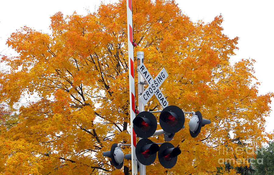 Fall Color at Railroad Crossing  5636 Photograph by Jack Schultz