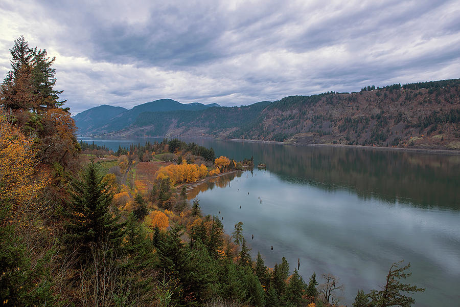 Fall Color at Ruthton Point in Hood River Oregon Photograph by David Gn