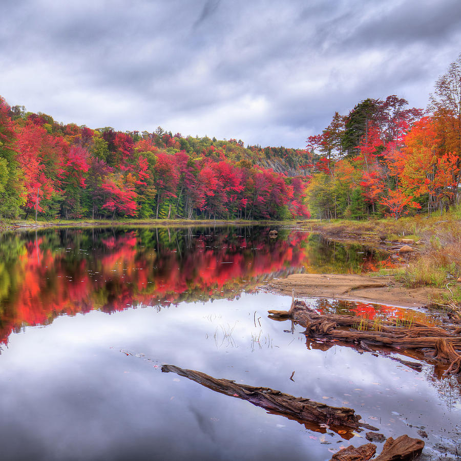 Fall Color at the Pond Photograph by David Patterson