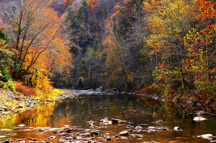 Fall Photograph - Fall Color Elk River by Thomas R Fletcher