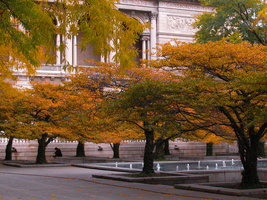 Fall Photograph - Fall Color by Fern Logan Fall Photograph - Fall Color by Fern Logan
