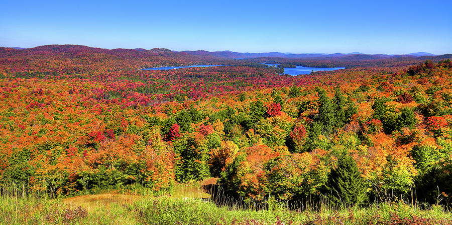 Fall Color from McCauley Mountain Photograph by David Patterson