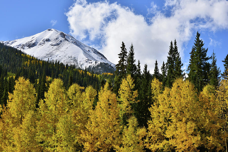 Fall Color in Colorado High Country Photograph by Ray Mathis