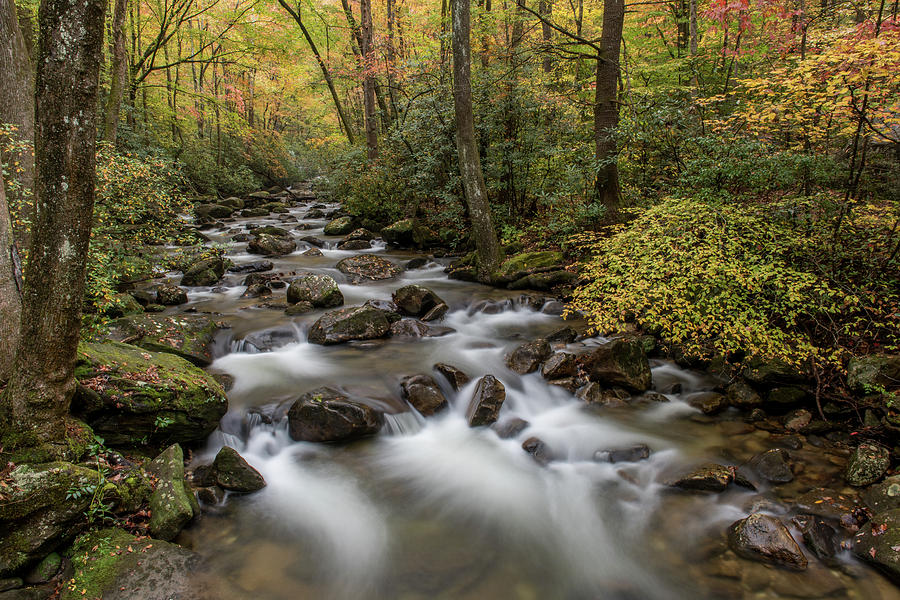 Fall Color In Jones Gap Creek Photograph by Willie Harper