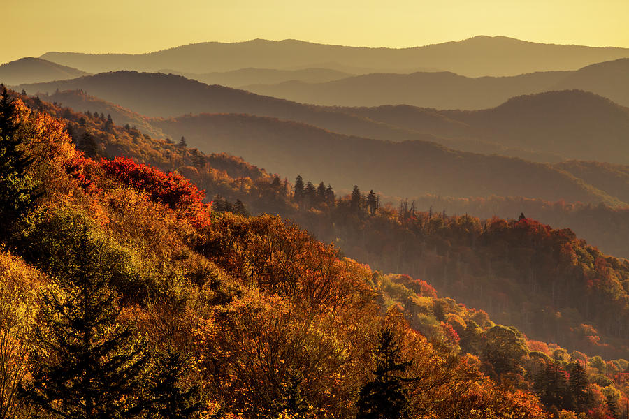 Fall Color Morning in the Great Smoky Mountains Photograph by Teri Virbickis