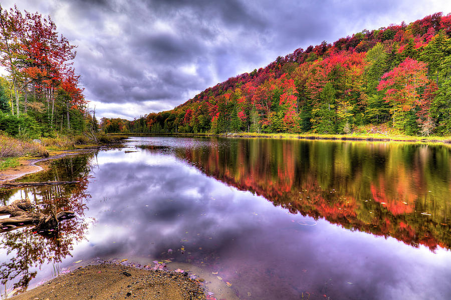 Fall Color on Bald Mountain Pond Photograph by David Patterson