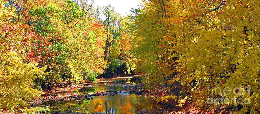 Fall Color on Creek  5597 Photograph by Jack Schultz