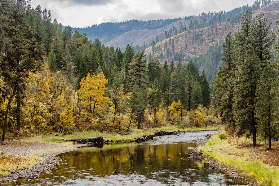 Fall Color on the Clearwater River Photograph by Link Jackson