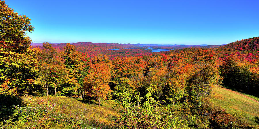 Fall Color on the Fulton Chain of Lakes Photograph by David Patterson