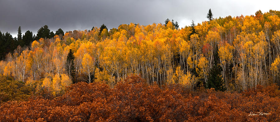 Fall Color On The Manti La Sal Mountains Photograph by Dan Norris