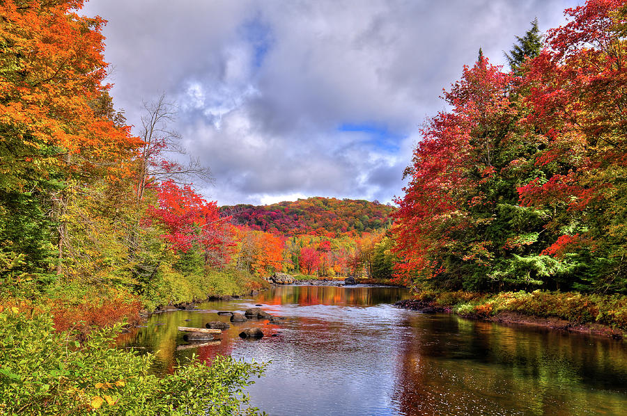 Landscape Photograph - Fall Color on the River by David Patterson