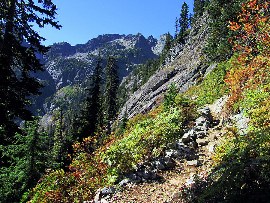 Fall Color On The Snow Lake Trail Photograph