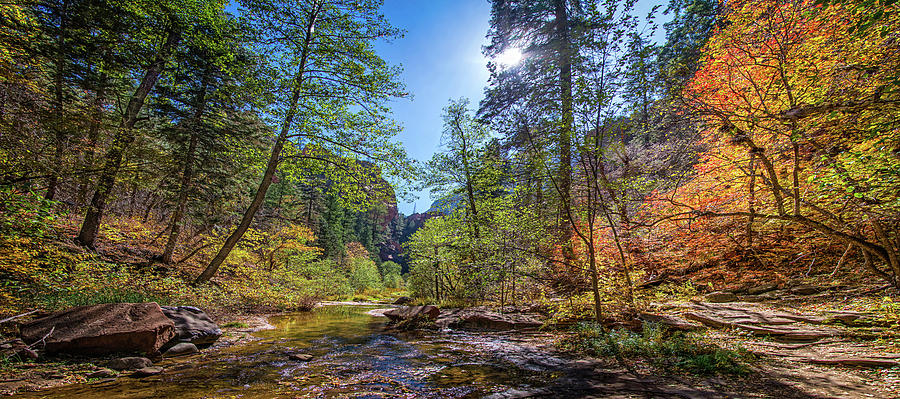 Fall Color on the West Fork Trail Photograph by Lynn Bauer