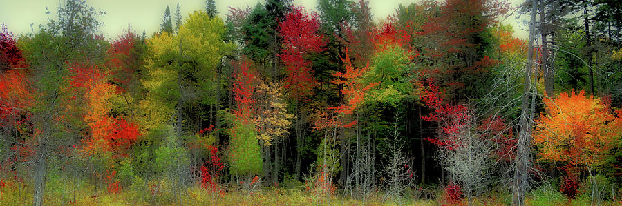 Fall Photograph - Fall Color Panorama by David Patterson