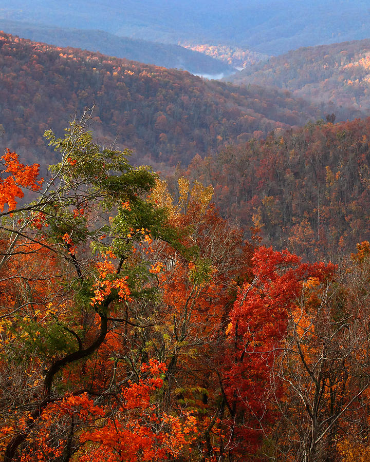 Fall Color Ponca Arkansas Photograph by Michael Dougherty