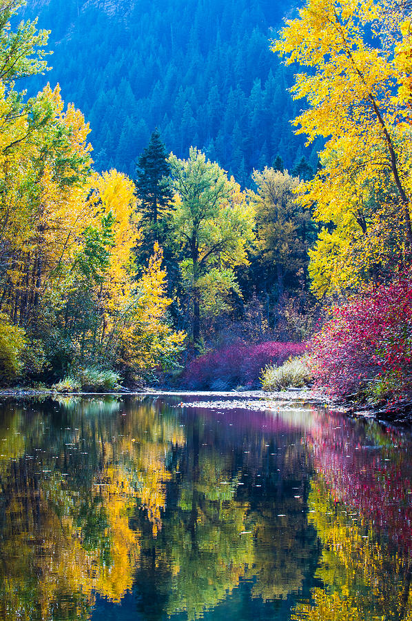 Fall color reflection Photograph by Hisao Mogi