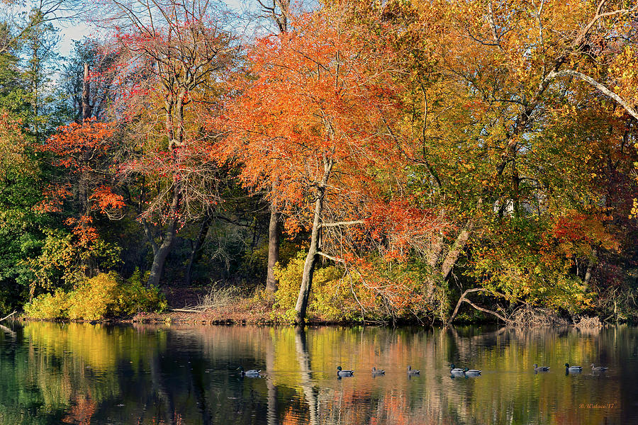 Fall Color Reflections Photograph by Brian Wallace