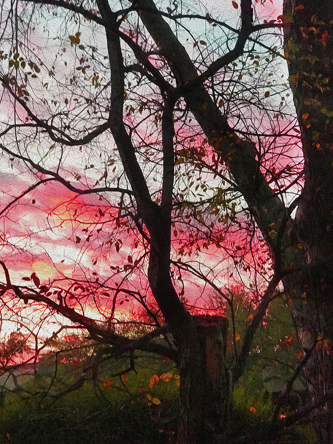 Fall Colored Clouds Through Trees Photograph by Robert J Sadler