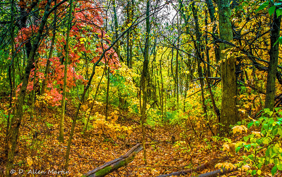 Fall Photograph - Fall Colors 2012 by Allen Martin