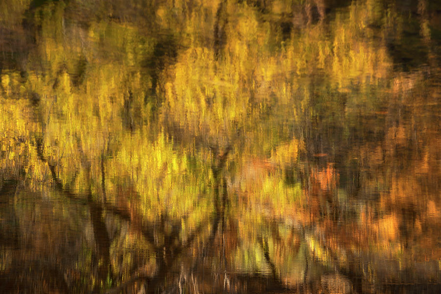 Fall Colors Abstract  Photograph by Saija Lehtonen