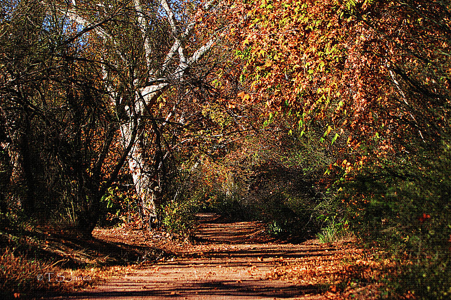 Fall Colors Along Pinto Creek Arizona Digital Art by Tom Janca