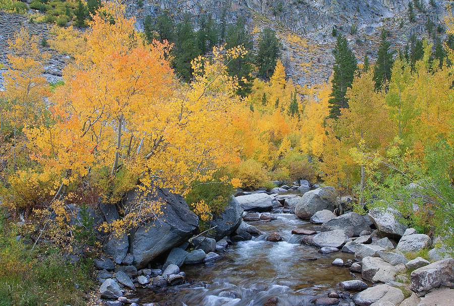 Fall Colors And Cascading Stream Photograph