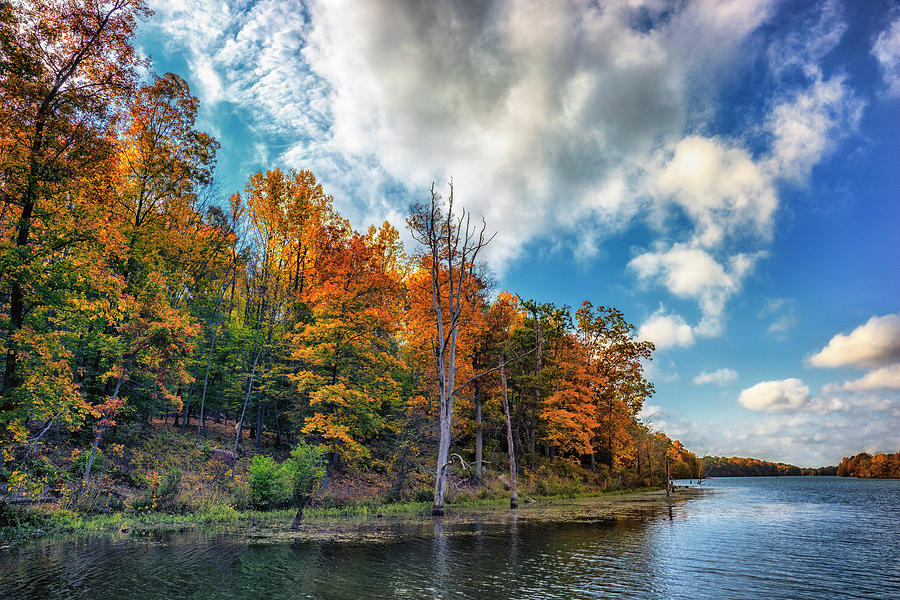 Fall Colors and Cool Weather by Larry Helms