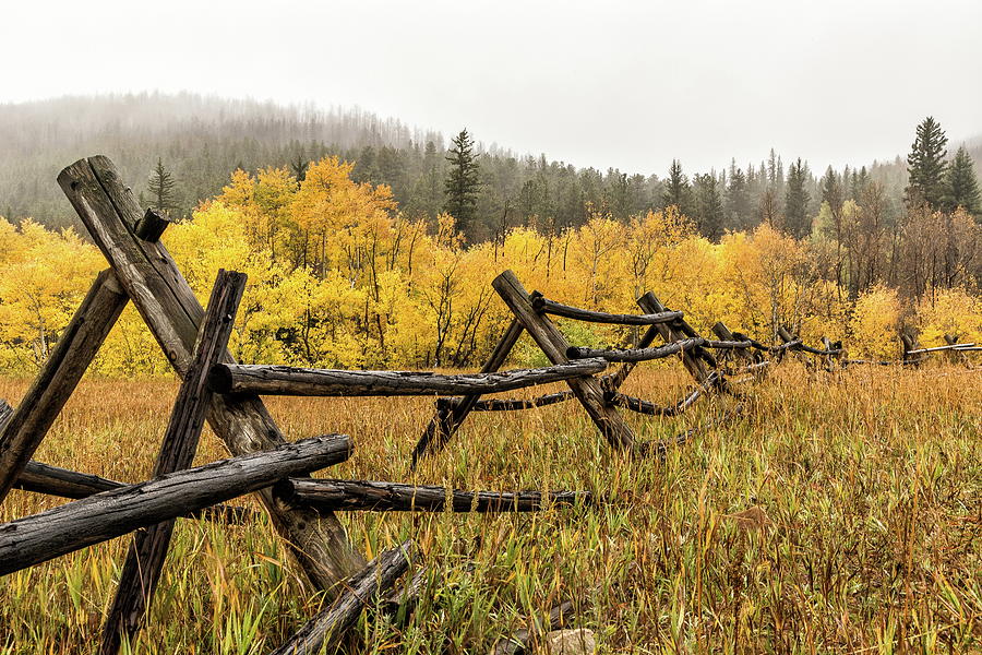 Fall Colors and Fog with a Split Rail Fence Photograph by Tony Hake
