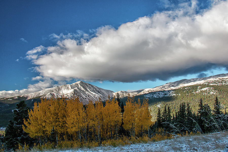 Fall Colors and Fresh Snow Photograph by Tony Hake