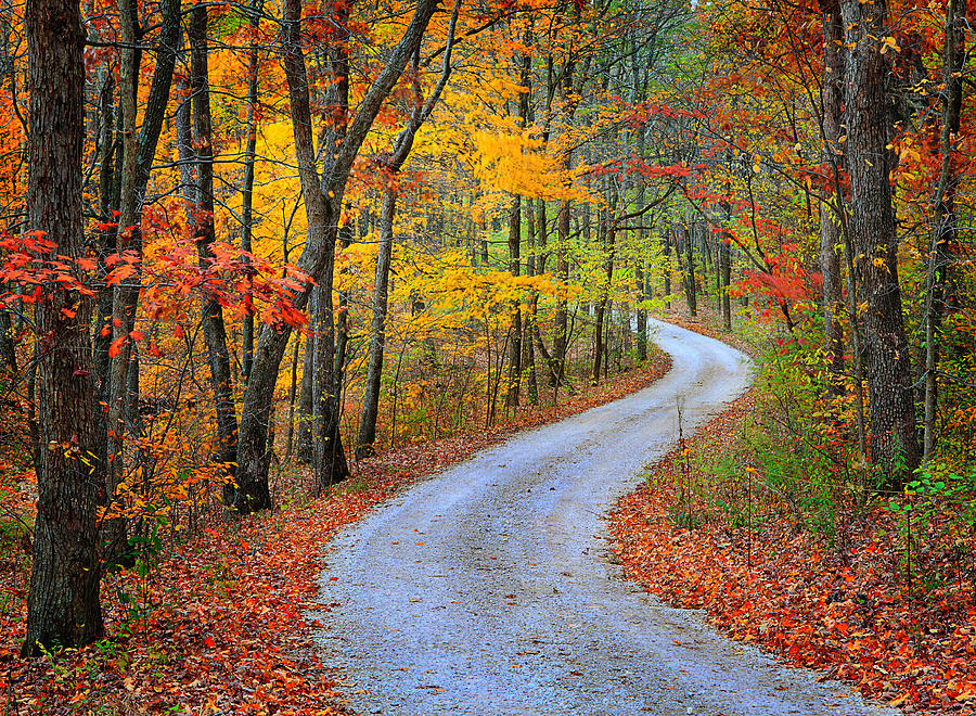 Fall colors and road Photograph by Jim Williams | Pixels