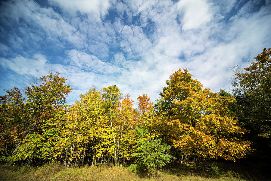 Fall colors and sky Photograph by Ty Helbach
